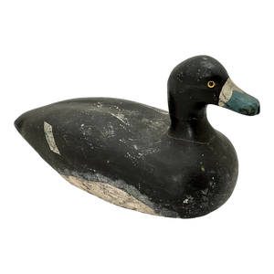 Antique American Hand Carved & Painted Wood Maine Blue Bill Duck Hunters Working Decoy With Glass Eyes
