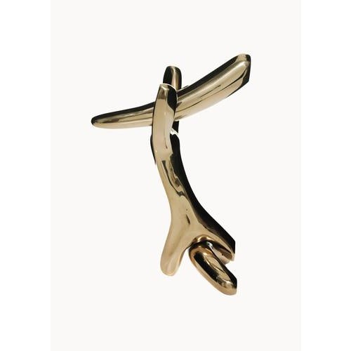 Knob Rinocerontico designed by Salvador Dali produced by BD design. Three polished lacquered cast bronze pieces joined...