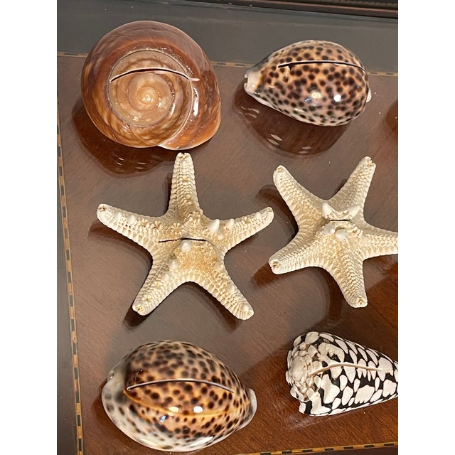 Set of 9 pcs 3” sea shells and sea stars as place cards holders for coastal table decor. We can accommodate large wedding...