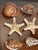 Set of 9 pcs 3” sea shells and sea stars as place cards holders for coastal table decor. We can accommodate large wedding...