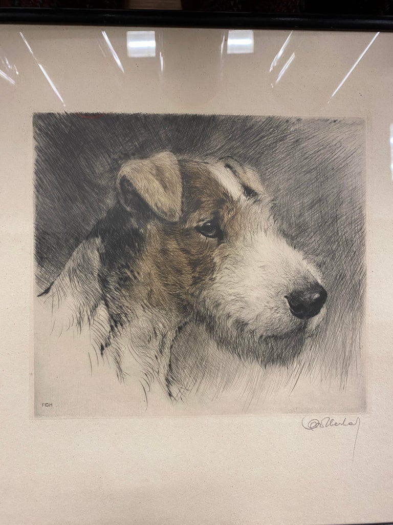 Early 20th Century Wire Fox Terrier Dog Original Signed Print by