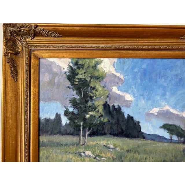 Contemporary New England Landscape Oil Painting by American Artist Mary Peterson Vargas, Framed For Sale - Image 3 of 8