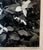 Vintage hand signed and stamp signed with the photographers stamp and numbered photo of trilliums. Samuel Herman Gottscho...