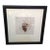 1980s Framed William Wegman Photo “ Puppy Series” Signed For Sale