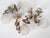 1950s Spanish Empire Cast Brass Dragon Sconces With Scavo Glass Globes - A Set of 4 For Sale - Image 4 of 11