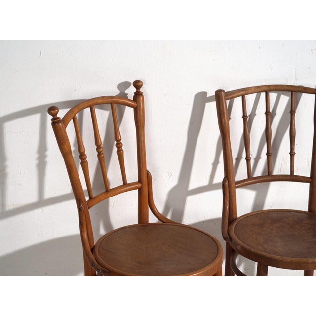 Brown Antique Bentwood Chairs, Central Europe, 1900s, Set of 4 For Sale - Image 8 of 13