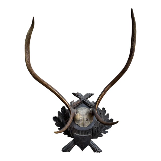 Large Black Forest Trophy Antler Mount on Carved Wood Plaque For Sale