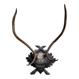 Large Trophy Black Forest Mount Antler Rack #3 For Sale