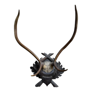 Large Trophy Black Forest Mount Antler Rack #3