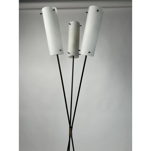 1950s Mid-Century Modern Floor Lamp in Brass with Marble and Opal Glass by Angelo Lelii, Italy, 1950 For Sale - Image 5 of 13