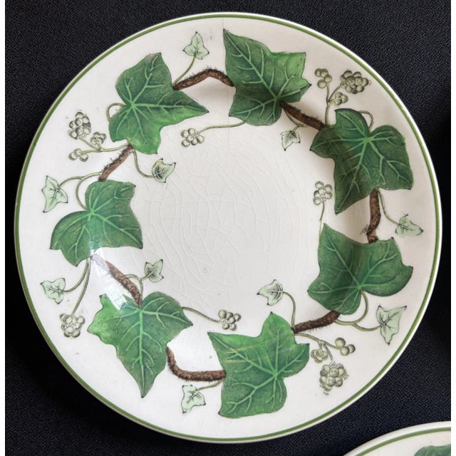 1940s 1940s Napoleon Ivy Wedgwood Plates - Set of 5 For Sale - Image 5 of 8