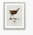 William Lewin 1789 Waterbirds Fine Art Gallery Board Print - The Spotted Gallinule For Sale - Image 10 of 15