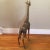1970s 70’s Brass Giraffe Large 32.5" For Sale - Image 5 of 12