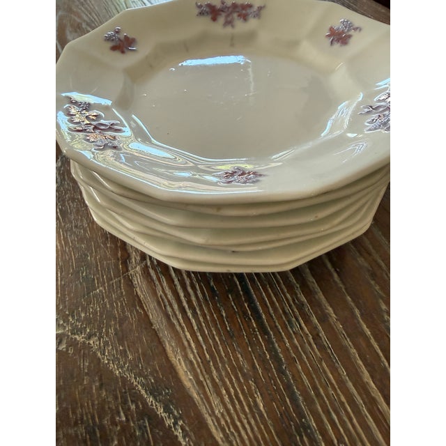 Antique Staffordshire Ironstone Dessert Plates, Chelsea Grape Chelsea Sprig Pattern, 6.75 Inch English Ironstone, Circa 1845–1856 - Set of Seven For Sale In Chicago - Image 6 of 10