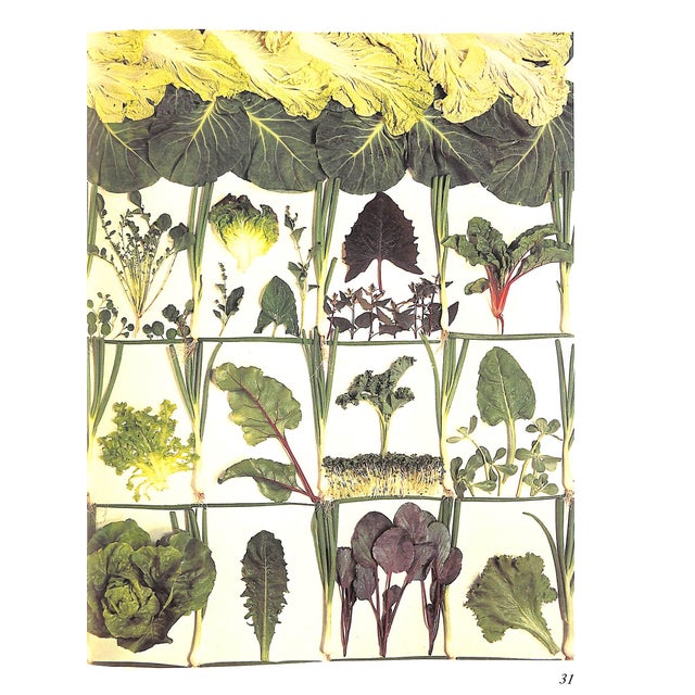 "Bon Appetit Summer & Winter Cookbook" 1980 Boxer, Arabella & Traeger, Tessa For Sale - Image 12 of 12