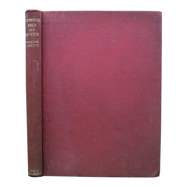 "Thoroughbred and Hunter" 1934 Fawcett, William For Sale