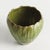 In an artisanmade slip cast design, this intricate natureinspired pot is a real treasure. The inherently beautiful glaze...