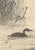 A wonderful large woodblock print from 1892 by imao keinen (今尾 景年), representing a little grebe (カイツブリ) among manchurian...