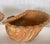 French Antique Set of Three Terracotta Large Shell Planters, 1940s For Sale In West Palm - Image 6 of 18