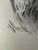 1940s 1940s Original Signed Graphite Portrait of Cocker Spaniel Dog, 1949, 11 × 8.25 In. For Sale - Image 5 of 6