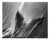 Fern No. 4 - Black and White Analogue Botanical Photograph, E.d. 10 2026 For Sale