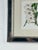 1970s Vintage Trowbridge Custom Framed Botanical Print “Gladiolus × Willmoreanus” After Louis Van Houtte (1810–1876) For Sale - Image 5 of 9