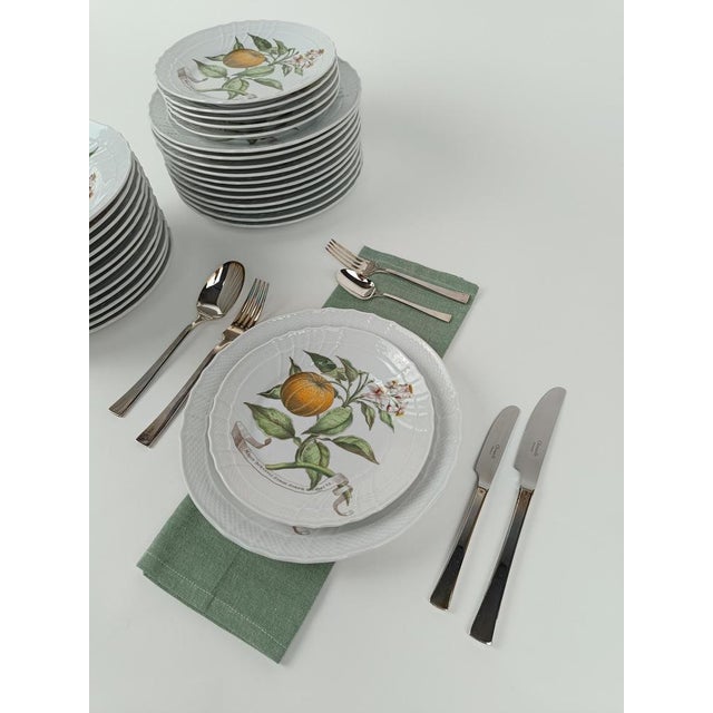 Rococo China Dinner Service with a Botanical Print attributed to Munting Abraham from Richard Ginori, 1980s, Set of 30 For Sale - Image 3 of 18