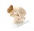 Early 20th Century German Rosenthal Porcelain “The Drinker” by Ernst Wenck For Sale - Image 9 of 9