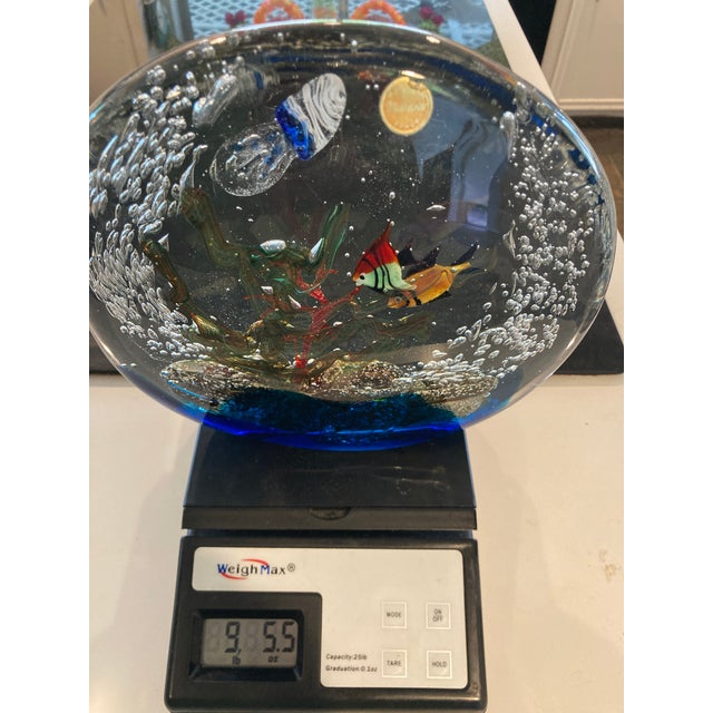 Large 1970s Murano Art Glass Fish Aquarium With Jellyfish Sculpture For Sale - Image 10 of 13