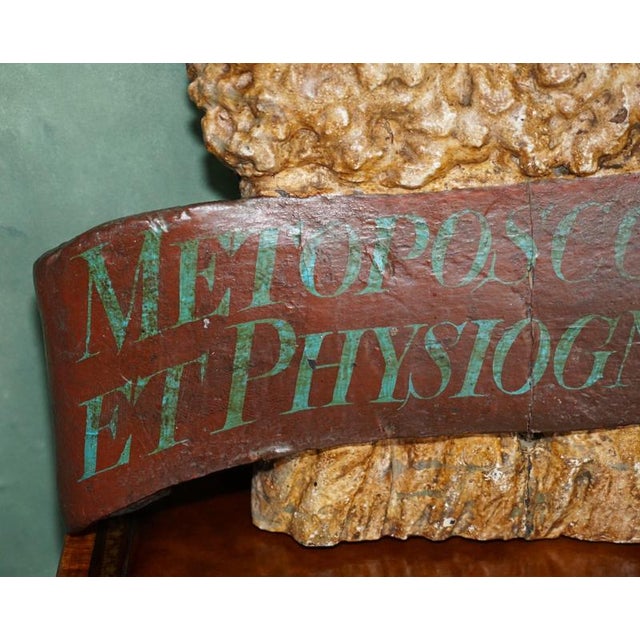19th Century Fortune Tellers Painted Palmistry Advertising Sign For Sale - Image 3 of 18