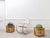 Rattan Baskets from Vivai Del Sud, 1970s, Set of 2 For Sale - Image 9 of 10