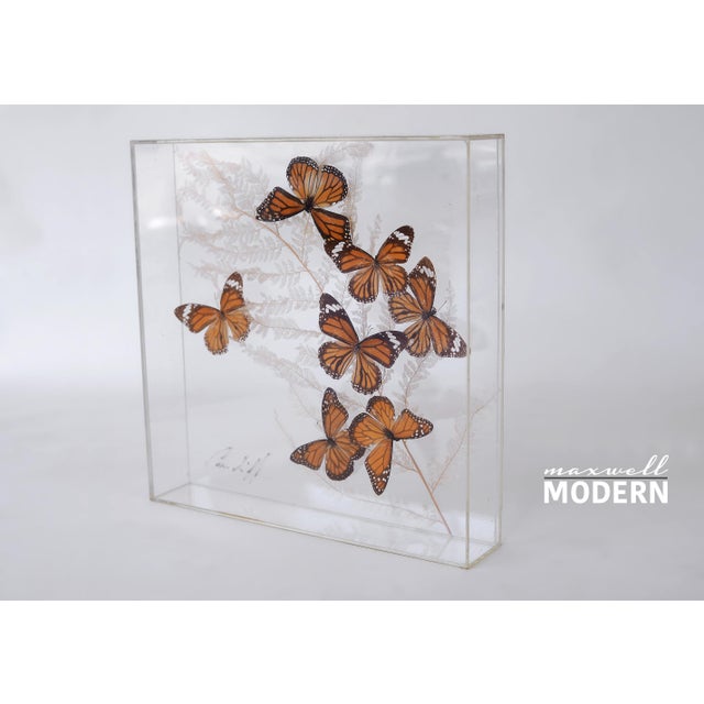 Vintage 1970s Botanical Butterly Taxidermy Acrylic Box Wallhanging For Sale - Image 4 of 11