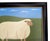 Early 21st Century Matt Rix, Hilda, 2000s, Oil Painting on Board, Framed For Sale - Image 5 of 8