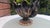 Art Deco Glass Cake Stand from United Glassware STS Abel, 1930s For Sale - Image 3 of 6