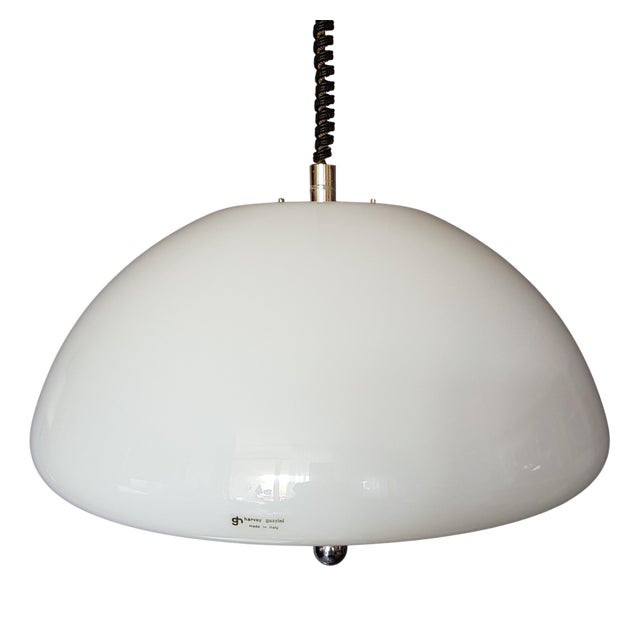 Space Age Cabras Pendant Lamp by Luigi Massoni for Guzzini, Italy, 1970s For Sale