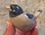 Dissing Keramik Pottery Bird For Sale - Image 4 of 6