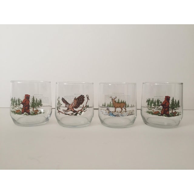 Vintage Mid Century Woodland Wildlife Old Fashioned Drinking Glasses