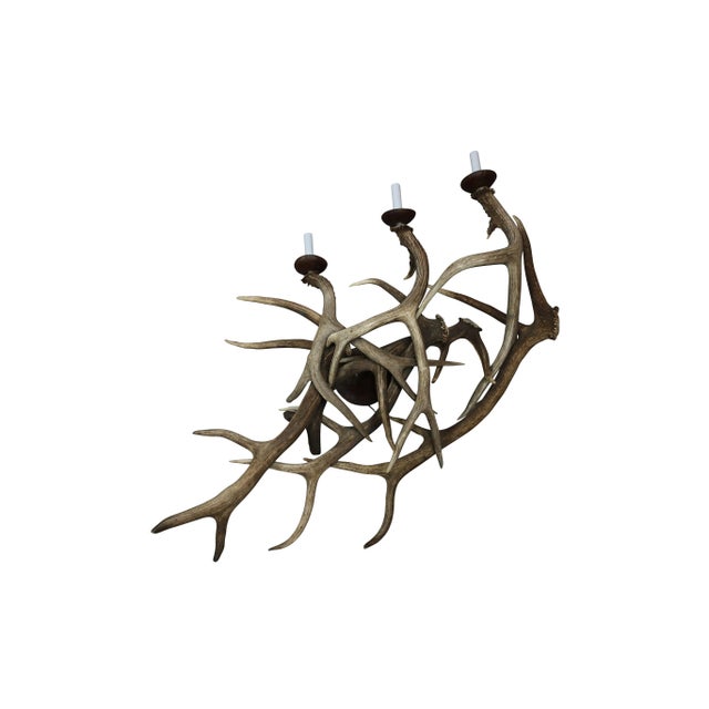 Antler Sconces - a Pair of 1970s Three Arm Deer Antler Sconces For Sale In Boston - Image 6 of 7