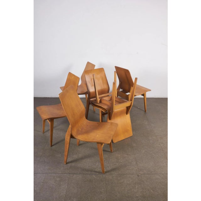 Vintage Curved Plywood Chairs, 1950s, Set of 6 For Sale - Image 14 of 18