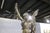 Rouge Marble Pedestal With Bronze E. Piccault Statue For Sale - Image 10 of 18