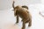 Vintage African Elephant Sculpture For Sale In New York - Image 6 of 8