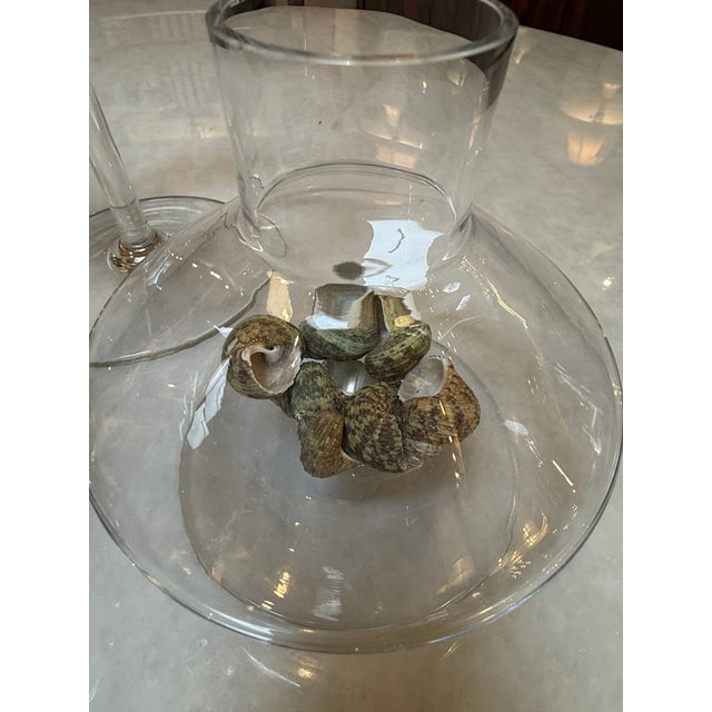 Modern Glass Pedestal Vessels + Seashells, Set of Four For Sale - Image 11 of 12
