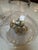 Modern Glass Pedestal Vessels + Seashells, Set of Four For Sale - Image 11 of 12