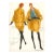 1980s Gordon Henderson – Original Fashion Design, Mustard Coat & Skirt Ensemble, Signed For Sale