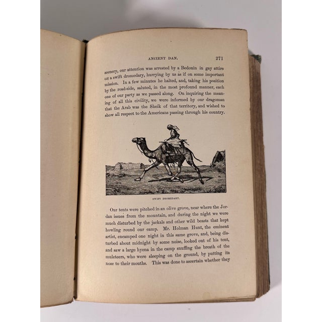 Buried Cities Recovered, Explorations in Bible Lands by Frank S. DeHass c.1883 For Sale - Image 15 of 18