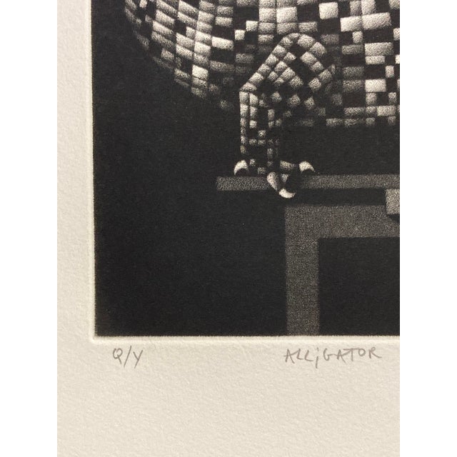 Mario Avati, Alligator, 1970, Mezzotint Print For Sale - Image 13 of 18