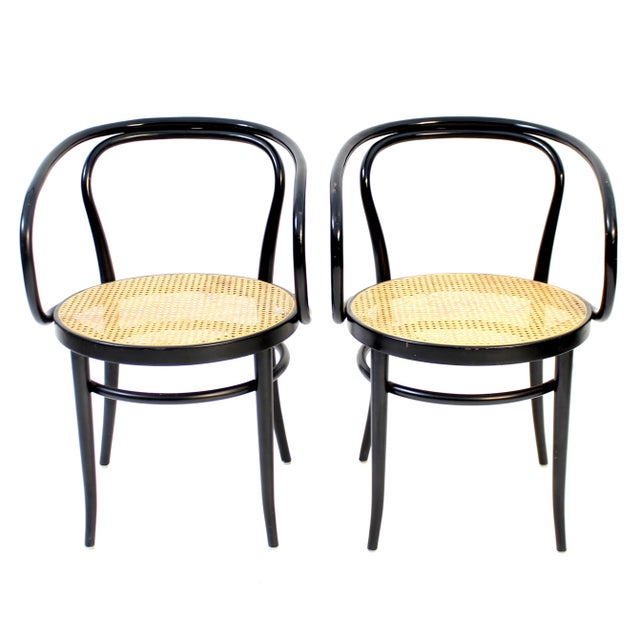 1990s Set of Model 209 Armchairs from Thonet, 1990s For Sale - Image 5 of 16