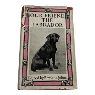 1944 Our Friend the Labrador Dog Book For Sale