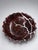 Elevate your space with this exquisite Handmade Ruffled Stone Bowl, thoughtfully crafted to showcase the natural beauty of...