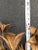 Large Italian Gilt Iron Floral Wall Sconce For Sale - Image 11 of 12